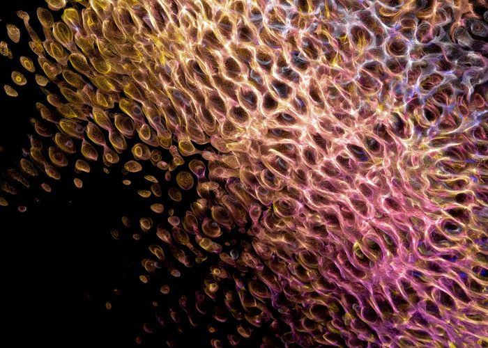 Minimalist artistic flow representing energy movement